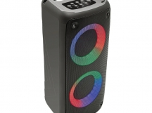Колонка-Bluetooth Perfeo "DUAL RING" 4" LED, FM, MP3 USB/microSD, AUX, TWS, MIC, 10Вт, черная