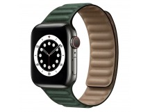 Ремешок - ApW31 Apple Watch 38/40/41мм экокожа на магните (green) (218821)