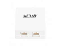 Розетка - RJ-45 5E_двойная_внешняя NETLAN EC-UWO-2-UD2-WT J203 [12.10], шт
