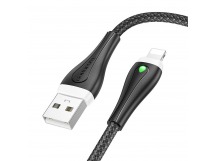 Кабель USB - Apple lightning Borofone BX100 Advantage 100см 2,4A  (black) (224779)