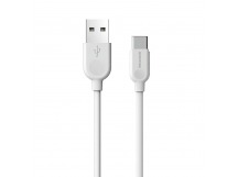 Кабель USB - Type-C Borofone BX14 (повр. уп) 100см 3A  (white) (229190)