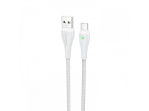 Кабель USB - Type-C BOROFONE BX100 (3A/1m) серый