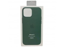 Чехол iPhone 13 Silicone Case MagSafe OR с Анимацией Eucalyptus