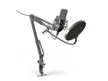 Микрофон RITMIX RDM-169, черный, настольный (1/8)