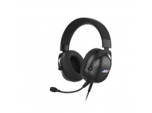 Игровая гарнитура ACER AHW122 2.1м мониторные USB оголовье (ZL.HDSCC.01U), черный (1/20)