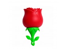 USB  64GB  Smart Buy Wild series  Роза