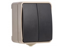 Выключатель SMARTBUY наружная установка 2-клавишный 10А, IP 54 "Сатурн" (SBE-04w-10-SW2-0) (1/18/216)