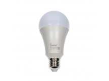 Лампа светодиодная SMARTBUY A70 30Вт 220V 6000К E27 (холодный свет) (10/50)