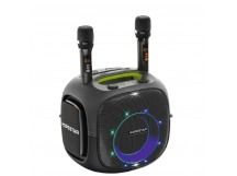 Колонка беспроводная  HOPESTAR PARTYONE UT 240W, (2 микрофона)  цвет черный