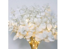 Гирлянда Космос Ветви Эвкалипта белая имитация 48LED 3 шт. белый теплый (1/6)