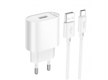 Адаптер сетевой Hoco C109A USB 2,1A/10,5W + кабель USB - Type-C (white) 