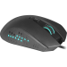 Мышь оптическая REDRAGON Gainer, черный, USB, игровая#161050
