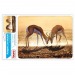 Коврик для мыши Buro BU-M40077 рисунок/антилопы#431786