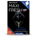 Ароматизатор под сиденье "MAXIFRESH" Mystique 100гр#432620