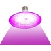Светодиодная лампа Е27 Фито 20Вт 48 светодиодов, полный спектр, шт#451429