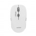 Мышь оптическая беспроводная Smart Buy SBM-344CAG-WG ONE с зарядкой от USB (white/grey) (116551)#2080478