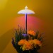 Фито светильник Kurato грунтовый 1 лампа 50Вт, розовый/фиолетовый, шт#1849546