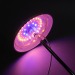 Фито светильник Kurato грунтовый 1 лампа 50Вт, розовый/фиолетовый, шт#1849547