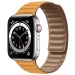 Ремешок - ApW31 Apple Watch 38/40/41мм экокожа на магните (orange) (218820)#1945952