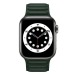 Ремешок - ApW31 Apple Watch 42/44/45мм экокожа на магните (green) (218815)#1945958