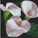 Картина мозаикой 30х30 БЕЛЫЕ КАЛЛЫ (квадрат) (17 цветов)#1911768
