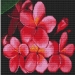 Картина мозаикой 30х30 ЦВЕТОК ЛАОСА (квадрат) (15 цветов)#1911816