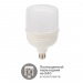 Лампа светодиодная высокомощная  50Вт E27 (+переходник E40) 4750Лм AC140~265В 6500K Rexant#1920616