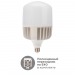 Лампа светодиодная высокомощная 100Вт E27 (+переходник E40) 9500Лм AC140~265В 6500K Rexant#1920617