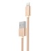 Кабель USB - Apple lightning Hoco X2 Rapid (повр. уп) 100см 2A  (gold) (223506)#1963803