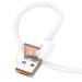 Кабель USB - Type-C Borofone BX102 Winner 60W 100см 3A  (white) (225484)#1982273