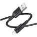 Кабель USB - Lightning BOROFONE ВX111 черный#2052860