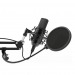 Микрофон RITMIX RDM-169, черный, настольный (1/8)#2121828