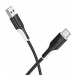 Кабель USB - TypeC BOROFONE BX119 (черный) 1м, мятая упакоака#2113054