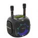 Колонка беспроводная  HOPESTAR PARTYONE UT 240W, (2 микрофона)  цвет черный#2132349