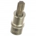 Бита-головка TORX 3/8" х T50, длина 48мм#2124358