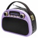 Радиоприемник трёхдиапазонный RITMIX RPR-040 LAVENDER, Bluetooth v.5.3, USB флэш/microSD, MP3, вход USB Type-C, ручка для переноски, лавандовый(1/18)#2129431