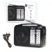 Радиоприемник DEESPI RE-17/607 AM/FM/SW#2134697