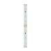 Bezteni SMD лента Classic 12V 4.8W 3000K Ra80 60LED 8mm IP20 5m, м#2145168