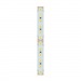 Bezteni SMD лента Ultra Long 24V 9.6W 4000K Ra90 120LED 10mm IP20 20m, м#2145191
