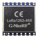 Модули беспроводные, радио G-NiceRF SX1262 Модуль LoRa1262-868(TCXO 0,5ppm) цифрового трансивера LoRa с SPI интерфейсом F=868МГцU=3,3В 22dBm (160мВт)#2154647