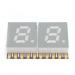 Индикаторы светодиодные NONAME GS2020-A (Красный) Цифровойиндикатор SMD 0,2" 2 разряда ОК#2157286