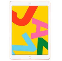 iPad 2020 (10.2)