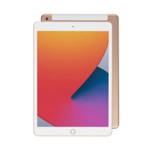iPad 8 2020 (10.2)