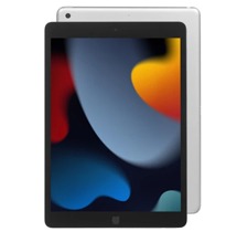 iPad 9 2021 (10.2)
