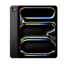 iPad Pro 2024 (13.0)