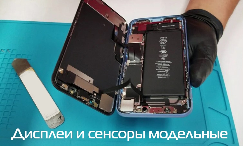 Баннер 2462