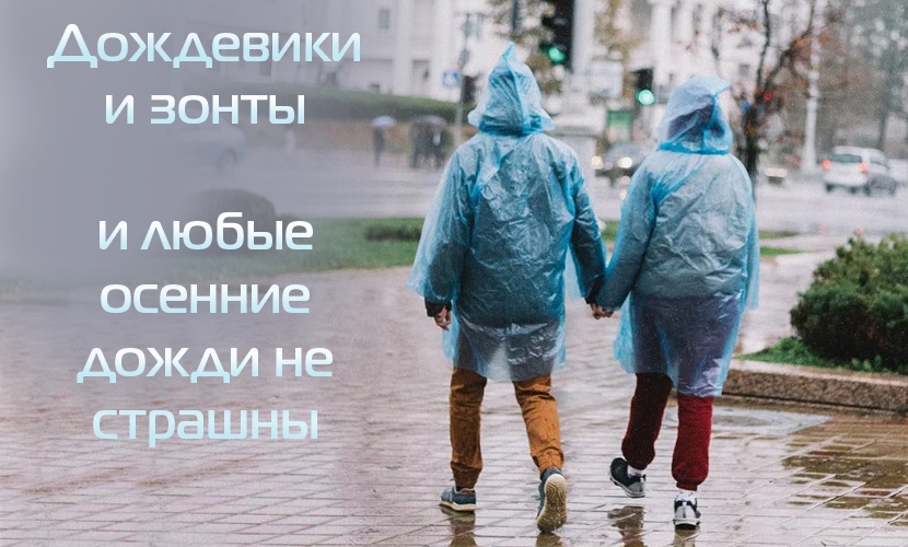 Баннер 2513