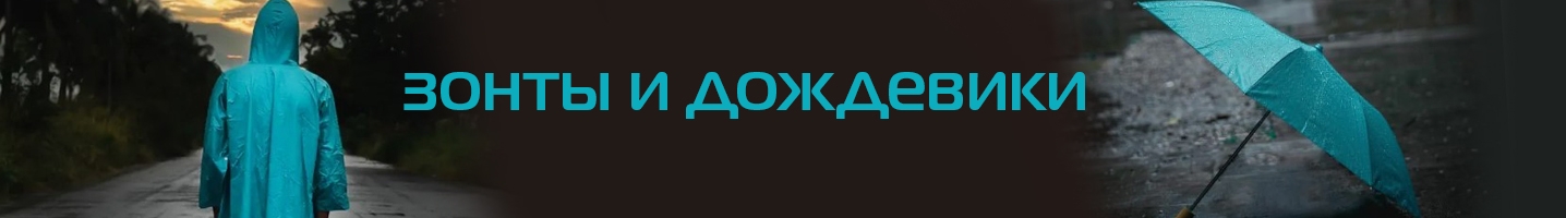 Баннер 2519